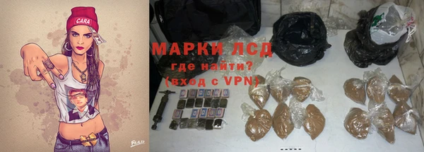ECSTASY Горняк