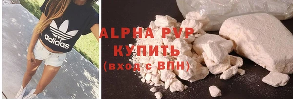 ECSTASY Горняк