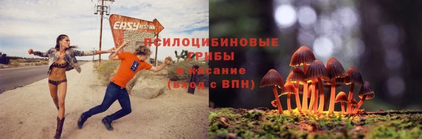 а пвп мука Горно-Алтайск