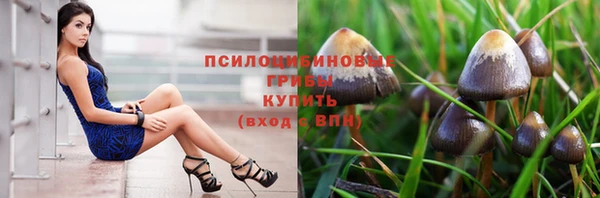 а пвп мука Горно-Алтайск