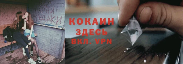 ECSTASY Горняк