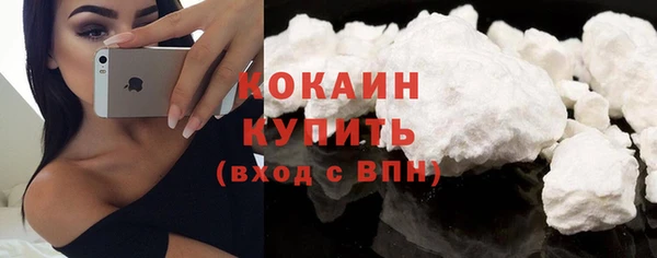 ECSTASY Горняк