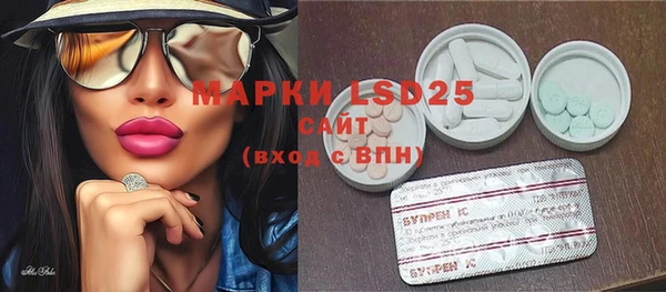 ECSTASY Горняк