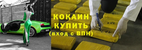 ECSTASY Горняк