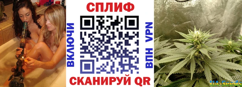 Конопля OG Kush Богородск